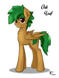 Size: 680x900 | Tagged: safe, artist:thunder chaser, derpibooru import, oc, oc:oak leaf, unofficial characters only, pegasus, pony, male