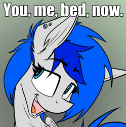 Size: 400x401 | Tagged: safe, artist:ralek, derpibooru import, oc, oc:sapphire sights, unofficial characters only, pegasus, pony, fallout equestria, animated, bed, bedroom eyes, caption, cute, eyebrow wiggle, eyebrows, female, implied sex, mare, open mouth, portrait, solo, you. me. x. now.