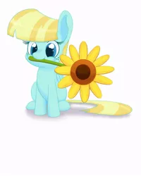 Size: 800x999 | Tagged: safe, artist:dormantflame, deleted from derpibooru, derpibooru import, helia, pegasus, pony, cute, filly, heliadorable, mouth hold, simple background, smiling, sunflower, white background, younger