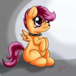 Size: 1366x1366 | Tagged: artist:jonnysalami, collar, derpibooru import, safe, scootaloo, solo