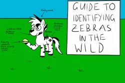 Size: 1200x800 | Tagged: safe, derpibooru import, oc, oc:zot, unofficial characters only, zebra, ask, sandwich, solo, tumblr