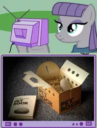 Size: 564x742 | Tagged: amused, derpibooru import, exploitable meme, maud pie, meme, obligatory pony, pet rock, rock, safe, smiling, solo, tv meme