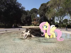 Size: 4288x3216 | Tagged: safe, artist:mewtwo-ex, artist:missbeigepony, derpibooru import, angel bunny, fluttershy, human, pegasus, pony, rabbit, female, flying, fountain, irl, irl human, mare, photo, ponies in real life, shadow, tree, vector, water