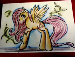 Size: 2048x1536 | Tagged: artist:julunis14, derpibooru import, fluttershy, safe, solo, traditional art