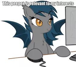 Size: 916x809 | Tagged: suggestive, derpibooru import, oc, oc:speck, unofficial characters only, bat pony, pony, computer, forced meme, meme, peepee