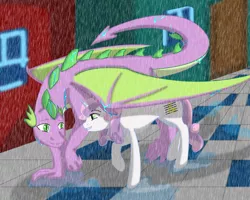 Size: 1024x819 | Tagged: safe, artist:no-shining-knight, derpibooru import, spike, sweetie belle, dragon, pony, unicorn, female, image, interspecies, jpeg, male, mare, quadrupedal spike, rain, shipping, spikebelle, straight, wing umbrella, winged spike