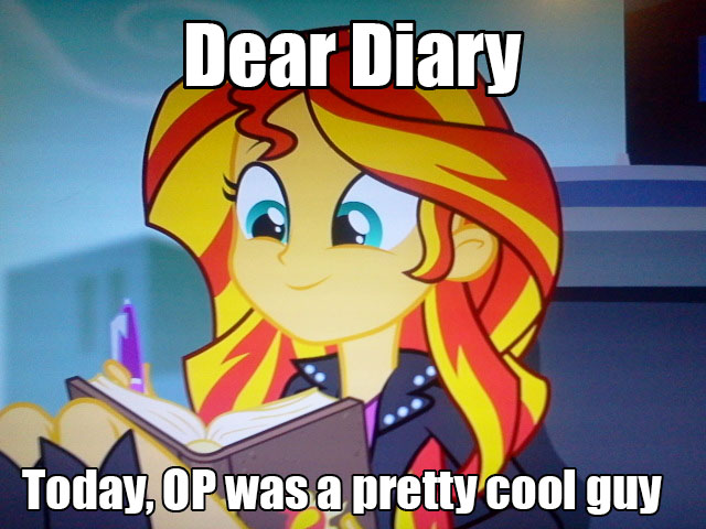 Size: 640x480 | Tagged: safe, derpibooru import, sunset shimmer, equestria girls, rainbow rocks, book, caption, image macro, journey book, meme