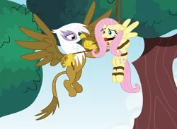 Size: 1024x751 | Tagged: suggestive, artist:radiantrealm, derpibooru import, fluttershy, gilda, gryphon, arm behind back, ballgag, bondage, femsub, fluttersub, gag, image, jpeg, show accurate, show accurate porn, submissive, suspended, tied up