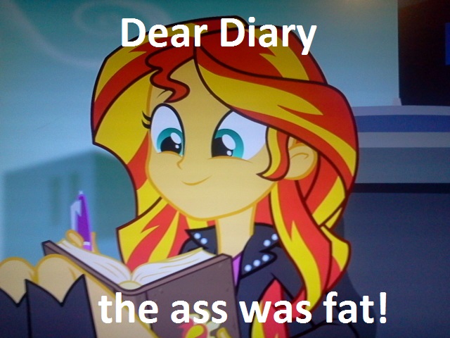 Size: 640x480 | Tagged: safe, derpibooru import, edit, edited screencap, screencap, sunset shimmer, equestria girls, rainbow rocks, book, caption, diary, journey book, meme, solo, the ass was fat