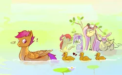 Size: 900x555 | Tagged: angel, apple bloom, artist:sayuri1314, baby duck syndrome, cutie mark crusaders, derpibooru import, duck, duckling, duck pony, fluttershy, frog, heart, imprinting, lilypad, pond, safe, scootaloo, sweetie belle, swimming, water, wet, wet mane