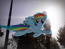 Size: 2560x1920 | Tagged: safe, artist:hunter2014hun, derpibooru import, rainbow dash, pegasus, pony, flying, grin, irl, lens flare, photo, ponies in real life, sky, smiling, solo, sun, telephone pole, tree, vector