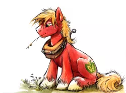 Size: 878x651 | Tagged: safe, artist:kenket, derpibooru import, big macintosh, earth pony, pony, grass, grass stalk, harness, haunches, male, simple background, sitting, solo, stallion, straw in mouth, unshorn fetlocks, white background, yoke