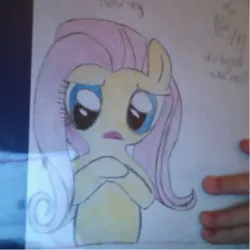 Size: 480x480 | Tagged: amateur, butterscotch, crayon, derpibooru import, female, flutterscotch, fluttershy, male, pencil drawing, rule 63, safe, selfcest, self ponidox, shipping, straight, traditional art