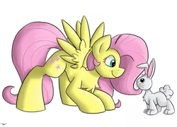 Size: 1231x888 | Tagged: safe, artist:luximus17, derpibooru import, fluttershy, pegasus, pony, rabbit, chest fluff, duo, female, looking at each other, looking at someone, looking down, mare, profile, simple background, smiling, spread wings, standing, white background, wings