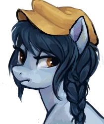 Size: 859x1024 | Tagged: safe, artist:johling, derpibooru import, oc, unofficial characters only, earth pony, pony, braid, hat, portrait, simple background, solo, transparent background