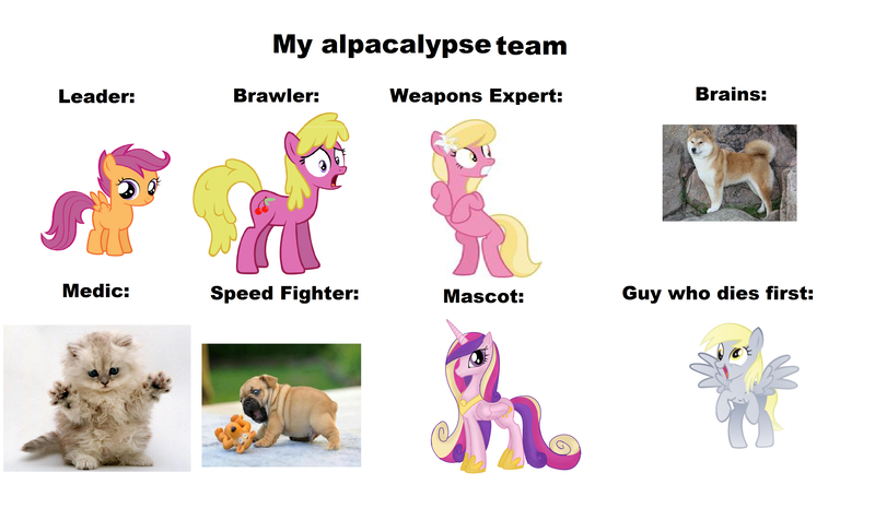 Size: 4480x2726 | Tagged: safe, derpibooru import, cherry berry, derpy hooves, lily, lily valley, princess cadance, scootaloo, cat, dog, pegasus, pony, shiba inu, abuse, bronybait, derpybuse, female, mare, meme, zombie apocalypse team