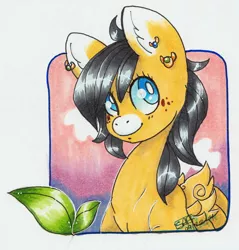 Size: 1127x1180 | Tagged: safe, artist:nicky, derpibooru import, oc, oc:solaire, unofficial characters only, pegasus, pony, earring, female, freckles, leaf, piercing, solo