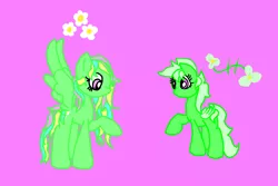 Size: 1500x1001 | Tagged: safe, artist:daisy meadows, derpibooru import, oc, oc:daisy meadows, oc:grasshopper, unofficial characters only, pegasus, pony, sisters