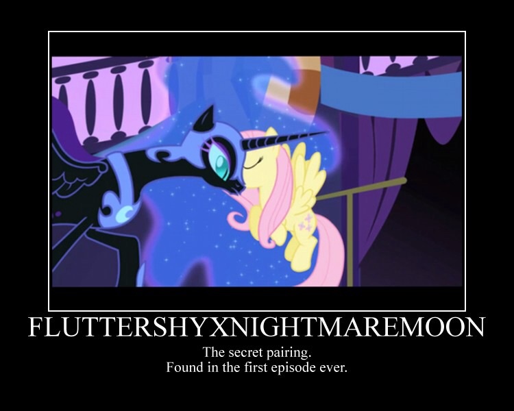 Size: 750x600 | Tagged: demotivational poster, faic, female, fluttermoon, fluttershy, lesbian, meme, nightmare moon, ponies standing next to each other, safe, shipping, shipping goggles, text