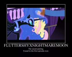 Size: 750x600 | Tagged: demotivational poster, faic, female, fluttermoon, fluttershy, lesbian, meme, nightmare moon, ponies standing next to each other, safe, shipping, shipping goggles, text