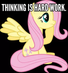 Size: 558x600 | Tagged: safe, artist:parclytaxel, derpibooru import, fluttershy, image macro, meme, solo, thinking