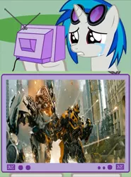 Size: 564x761 | Tagged: bumblebee, crying, death, derpibooru import, exploitable meme, meme, obligatory pony, semi-grimdark, soundscratch, soundwave, transformers, transformers dark of the moon, tv meme, vinyl scratch