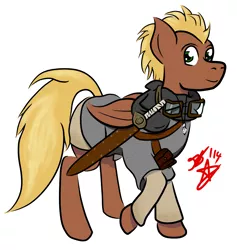 Size: 3033x3194 | Tagged: safe, artist:red_star, derpibooru import, oc, oc:chinook, unofficial characters only, pegasus, pony, goggles, hauberk, looking at you, simple background, solo, sword