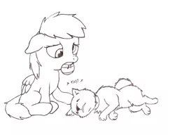 Size: 980x752 | Tagged: 4chan, ball, death, derpibooru import, derpy hooves, dog, filly, filly derpy, loss, monochrome, pet, sad, safe, young
