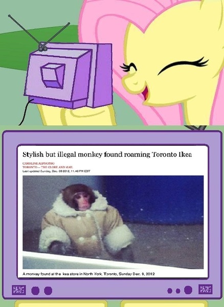 IKEA Monkey Meme + by GummyGumBeat on DeviantArt