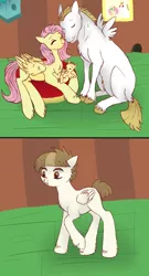 Size: 700x1300 | Tagged: safe, artist:silcybell, deleted from derpibooru, derpibooru import, bulk biceps, featherweight, fluttershy, oc, oc:butterfly, female, flutterbulk, foal, headcanon, male, offspring, parent:bulk biceps, parent:fluttershy, parents:flutterbulk, shipping, straight