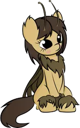 Size: 2959x4757 | Tagged: artist needed, artist:plone, cute, derpibooru import, mothpony, oc, oc:sepia, original species, safe, simple background, solo, transparent background, unofficial characters only, vector
