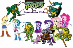 Size: 1282x846 | Tagged: safe, derpibooru import, applejack, pinkie pie, rainbow dash, rarity, spike, twilight sparkle, dog, equestria girls, crossover, donatello, leonardo, logo, master splinter, meta, michelangelo, raphael, shitposting, spike the dog, teenage mutant ninja turtles