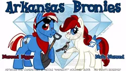 Size: 504x284 | Tagged: arkansas, artist:studioneko, banner, derpibooru import, oc, safe, unofficial characters only