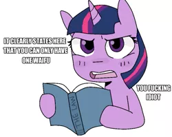 Size: 703x560 | Tagged: safe, artist:meowing-ghost, derpibooru import, twilight sparkle, angry, book, law, looking at you, solo, the law, vulgar