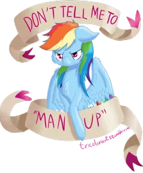 Size: 1280x1549 | Tagged: safe, artist:tricolorarts, derpibooru import, rainbow dash, feminist ponies, image, looking at you, message, mouthpiece, old banner, png, solo, subversive kawaii