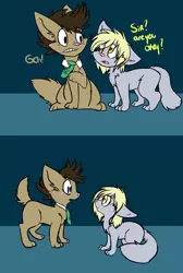 Size: 1024x1521 | Tagged: safe, artist:lonely-galaxies, derpibooru import, derpy hooves, doctor whooves, time turner, cat, blushing, comic, eye contact, floppy ears, gritted teeth, :o, species swap, surprised, wide eyes