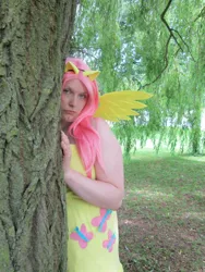 Size: 720x960 | Tagged: artist:jemmy87, cosplay, derpibooru import, fluttershy, human, irl, irl human, photo, safe