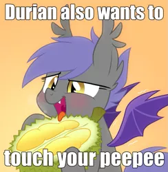 Size: 585x600 | Tagged: suggestive, derpibooru import, oc, oc:midnight blossom, unofficial characters only, bat pony, pony, cute, durian, exploitable meme, forced meme, meme, peepee