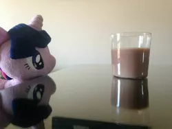 Size: 1024x768 | Tagged: 4de, chocolate milk, derpibooru import, impending doom, irl, meme, photo, plushie, pure unfiltered evil, safe, spilled milk, this will end in tears, twilight sparkle