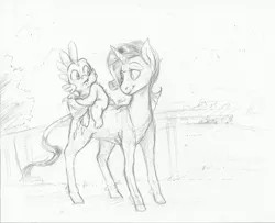 Size: 1280x1041 | Tagged: safe, artist:imsokyo, derpibooru import, rarity, spike, classical unicorn, dragon, pony, unicorn, daily life of spike, carrying, dragons riding ponies, duo, female, grayscale, leonine tail, male, mare, monochrome, riding, sketch, traditional art, tumblr, unshorn fetlocks