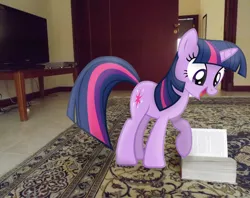 Size: 3941x3120 | Tagged: artist:missbeigepony, artist:mrlolcats17, book, carpet, derpibooru import, door, dvd player, irl, photo, ponies in real life, safe, smiling, solo, television, twilight sparkle, vector
