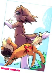 Size: 495x700 | Tagged: safe, artist:bakki, derpibooru import, applejack, winona, ponified, dog, earth pony, pony, semi-anthro, 30 minute art challenge, appledog, bipedal, chest fluff, collar, dogified, female, fluffy, grass, leg fluff, looking up, mare, open mouth, plot, role reversal, smiling, species swap, stick