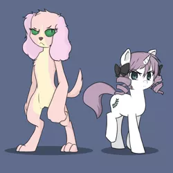 Size: 1024x1024 | Tagged: safe, artist:whatthescoots, derpibooru import, oc, oc:velvet peach, unofficial characters only, diamond dog, drill mane