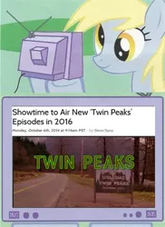 Size: 562x770 | Tagged: safe, derpibooru import, derpy hooves, pegasus, pony, exploitable meme, female, image macro, mare, meme, obligatory pony, tv meme, twin peaks