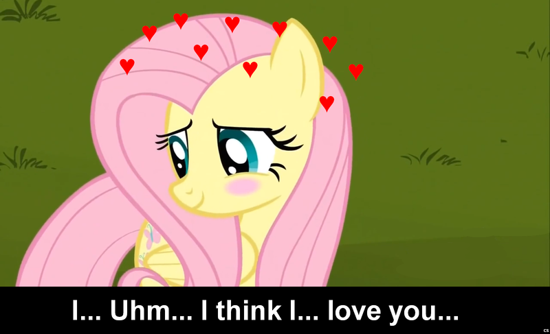 Size: 1600x973 | Tagged: safe, derpibooru import, fluttershy, pegasus, pony, blushing, bronybait, caption, cs captions, female, heart, looking away, love, mare, shy, smiling, solo