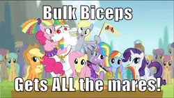 Size: 500x281 | Tagged: safe, derpibooru import, edit, edited screencap, screencap, applejack, brolly, bulk biceps, cloud kicker, derpy hooves, dizzy twister, fluttershy, merry may, orange swirl, pinkie pie, rainbow dash, rarity, spring melody, sprinkle medley, sunshower raindrops, thorn (character), twilight sparkle, twilight sparkle (alicorn), warm front, whitewash, alicorn, earth pony, pegasus, pony, unicorn, rainbow falls, background pony, bulk biceps gets all the mares, caption, female, image macro, male, mane six, mare, meme, skirt, stallion, twiceps