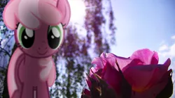 Size: 3840x2160 | Tagged: safe, artist:bastbrushie, artist:j-brony, derpibooru import, cheerilee, earth pony, pony, female, flower, irl, lens flare, mare, outdoors, photo, ponies in real life, shadow, smiling, solo, vector