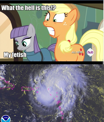 Size: 360x425 | Tagged: applejack, cargo ship, crack shipping, fetish, forced meme, hurricane, hurricane gonzalo, maud pie, maudzalo, meme, obligatory pony, safe, shipping, wat