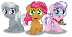 Size: 1024x538 | Tagged: artist:aleximusprime, babs seed, cmc manehatten, oc, oc:diamond spoon, oc:silver tiara, safe, simple background, transparent background