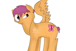 Size: 3000x2000 | Tagged: artist:the_shave, older, safe, scootaloo, solo